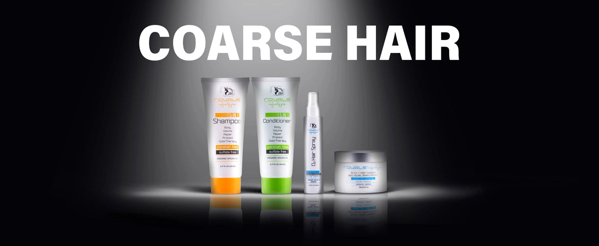 Hair Care Essential Bundle